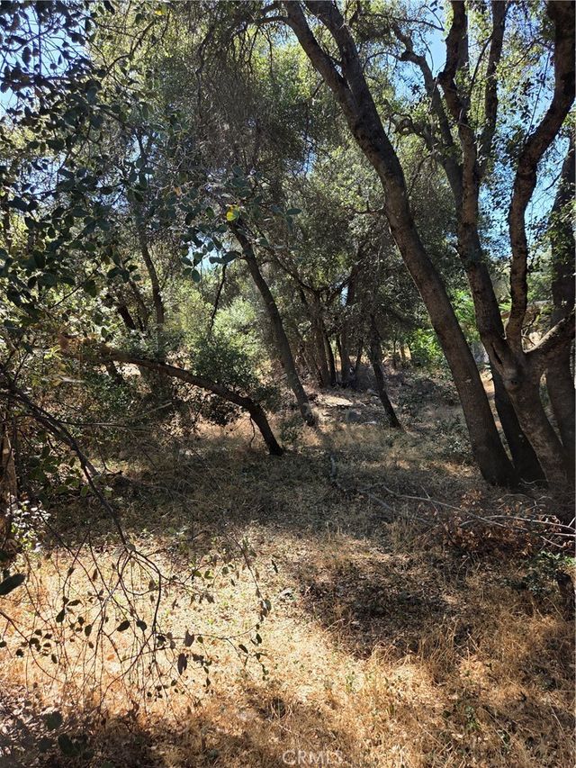 13692 Fair Oak, Clearlake
