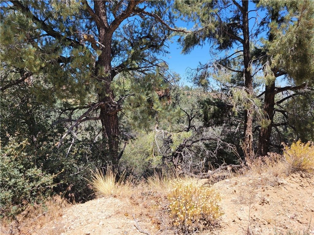Old Oak Springs Valley Road, Wrightwood