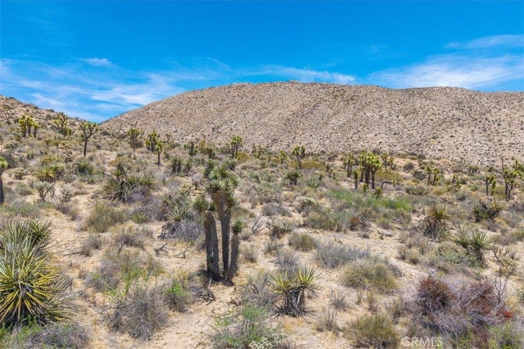 55652 Buena Vista Drive, Yucca Valley