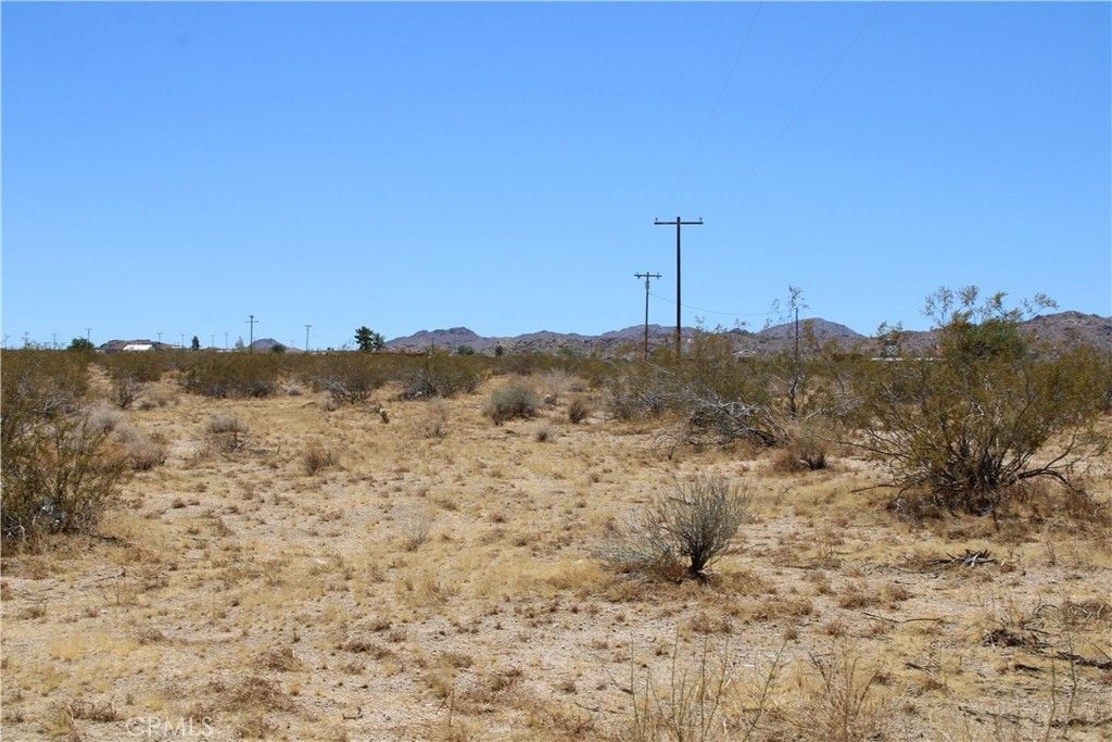 5 Ac Joshua Tree, Johnson Valley