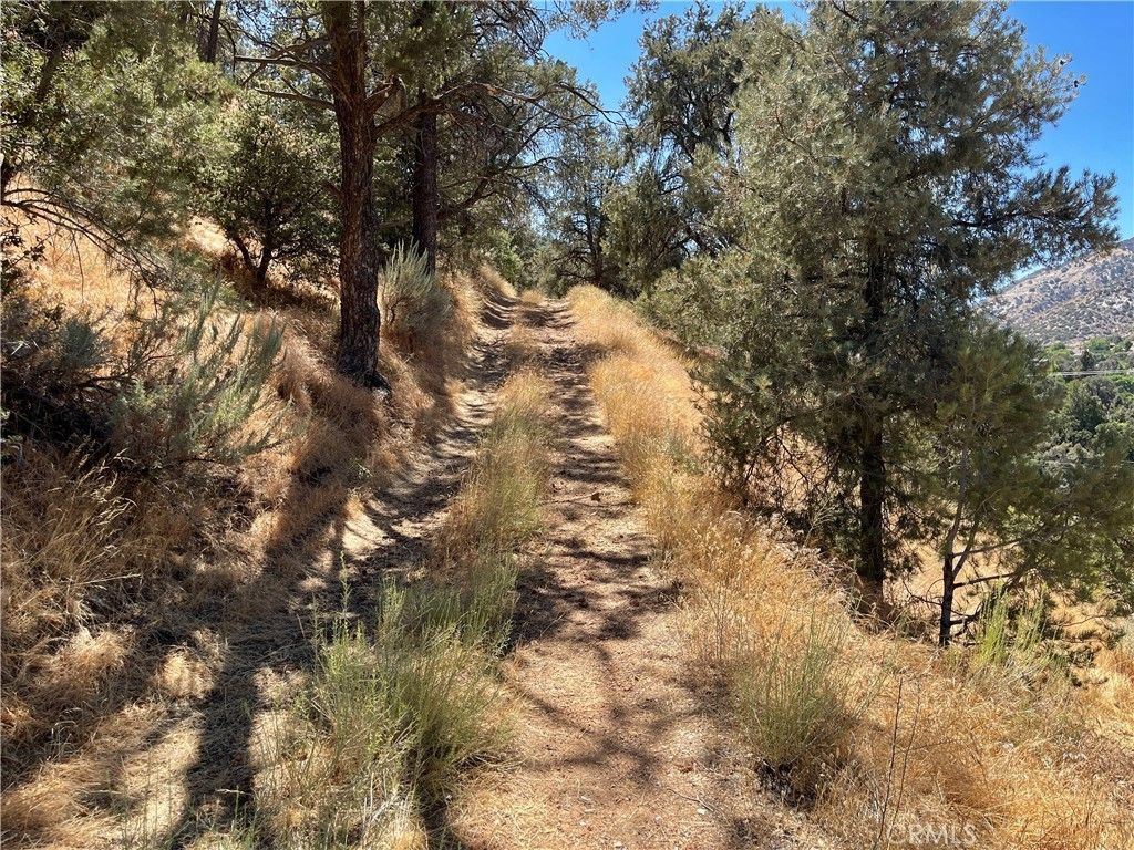 Short Trail, Frazier Park