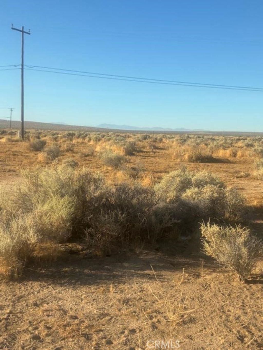 Evergreen Avenue, California City