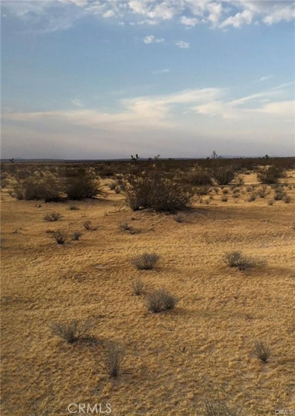 Hills Road, Adelanto