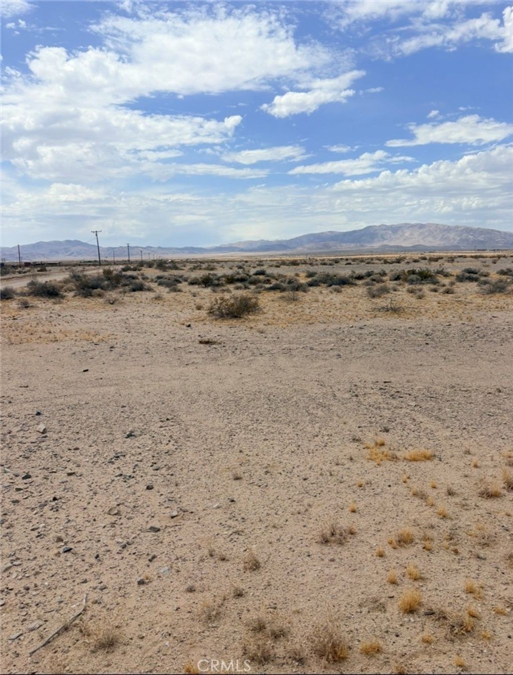 Wilson, 29 Palms