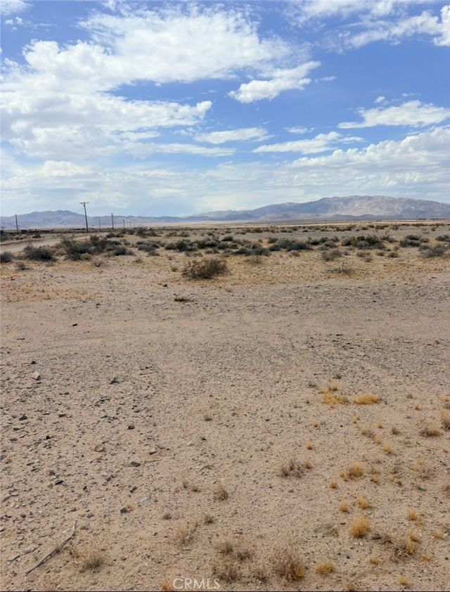 Wilson, 29 Palms