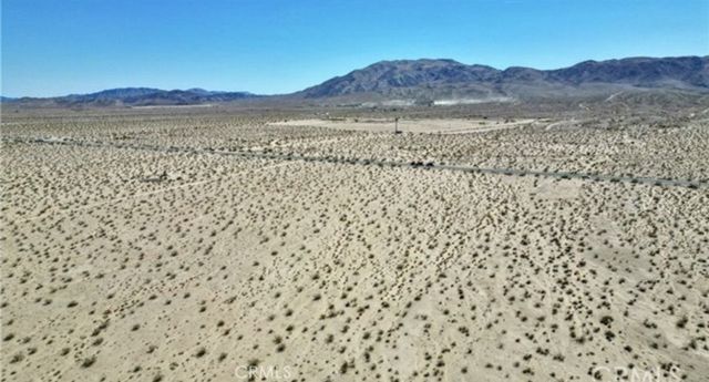 29 Palms, 29 Palms
