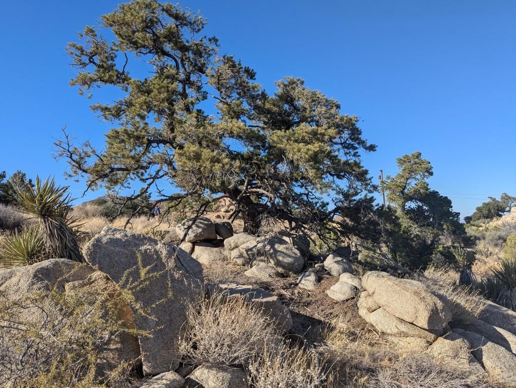 Lot 84 Mountain Park Road, Mountain Center
