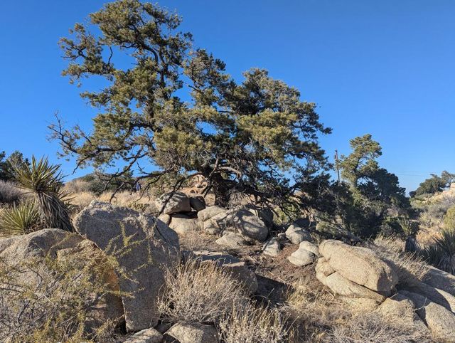 Lot 84 Mountain Park Road, Mountain Center