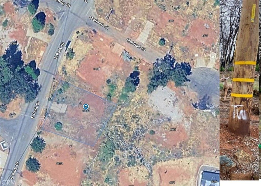 13630 S Park, Magalia