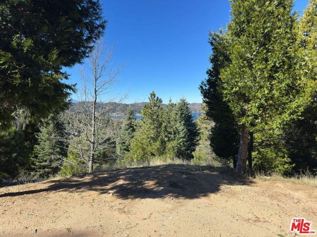 101 Mill Pond Road, Lake Arrowhead