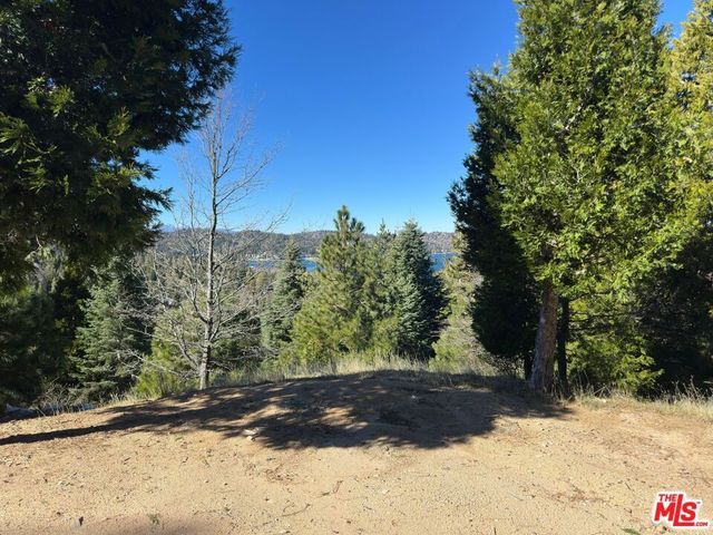 101 Mill Pond Road, Lake Arrowhead