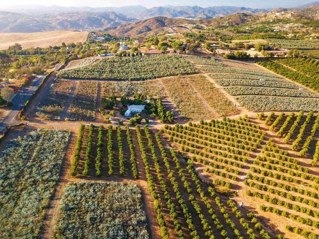 31817 Via Ararat Drive, Bonsall
