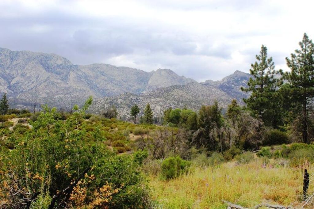 Bonita Vista Road, Mountain Center