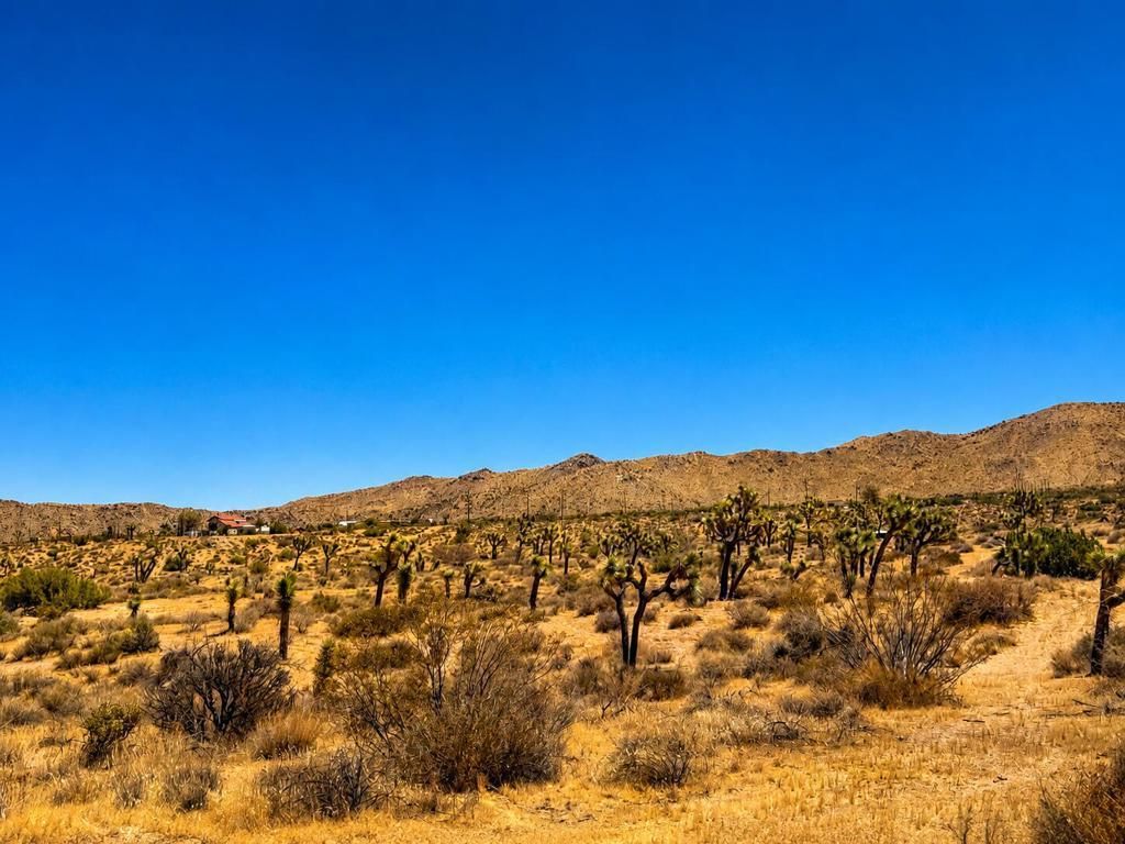 58920 Lisbon Drive, Yucca Valley