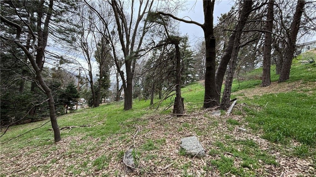757 Scenic View Drive, Crestline