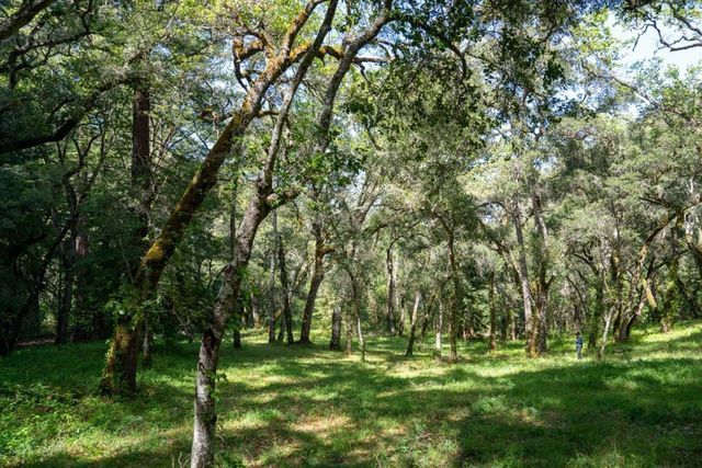 35000 Robinson Canyon Road, Carmel