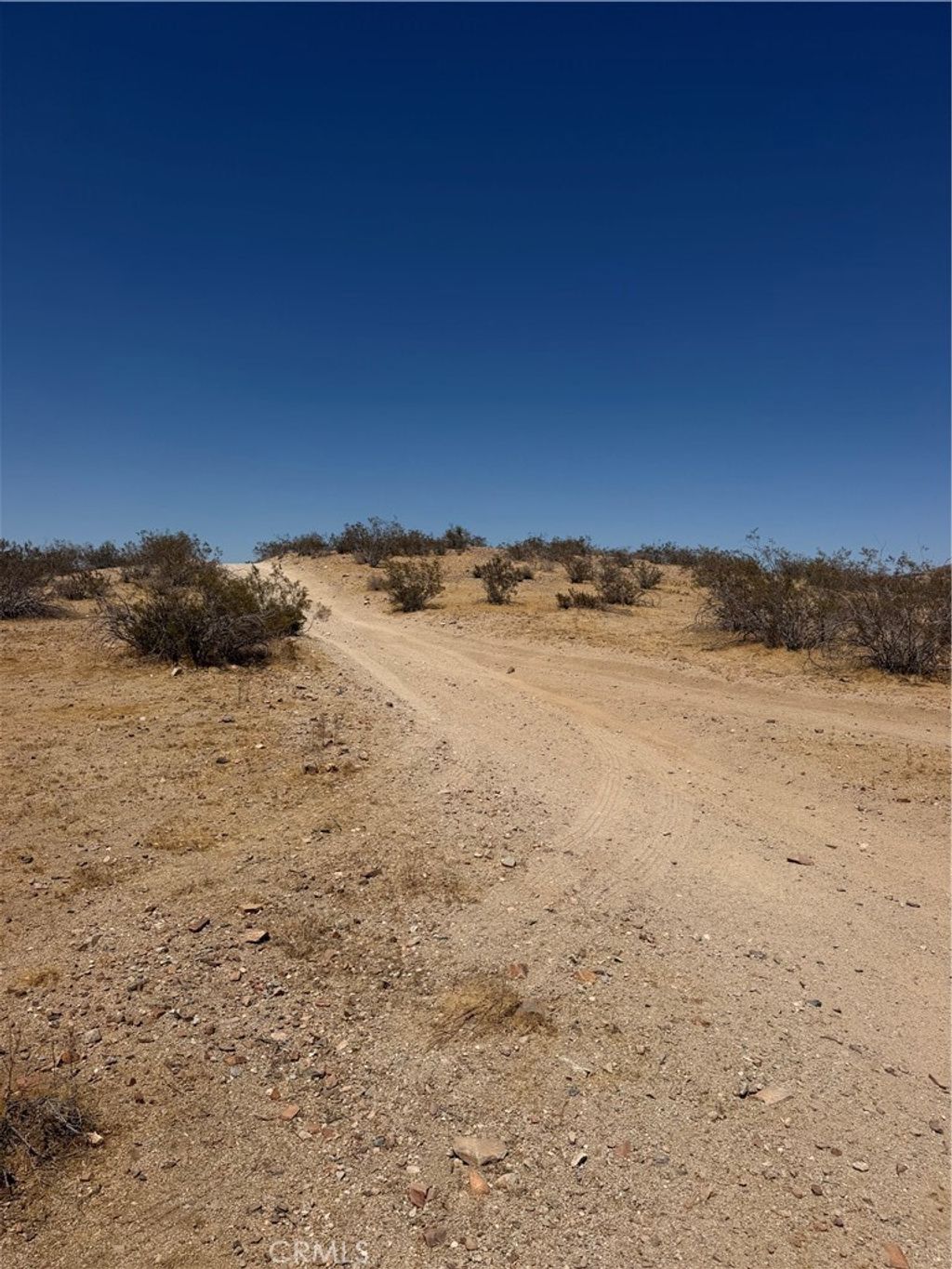 39 Leaping Lizard Lane, Apple Valley