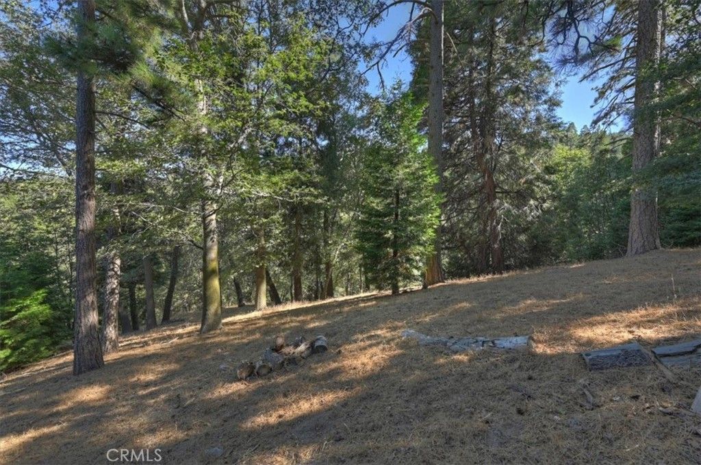 Pine, Cedarpines Park