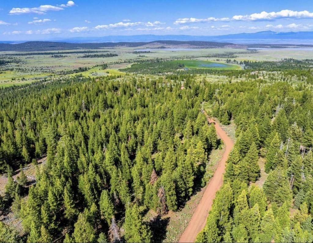 123 Glacier Dr Glacier Dr Alturas, Ca 96101 Road, Alturas