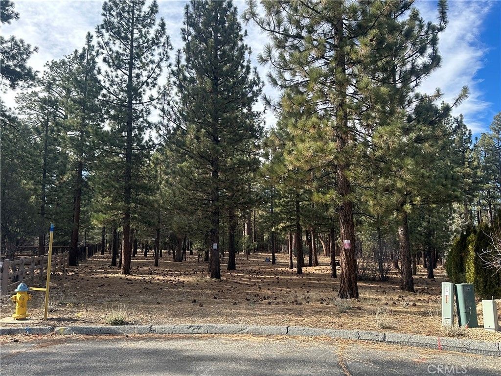 1801 Shady, Big Bear City