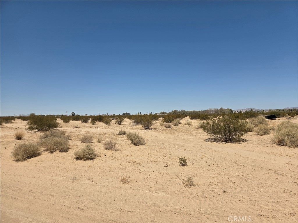 Amboy Road, 29 Palms
