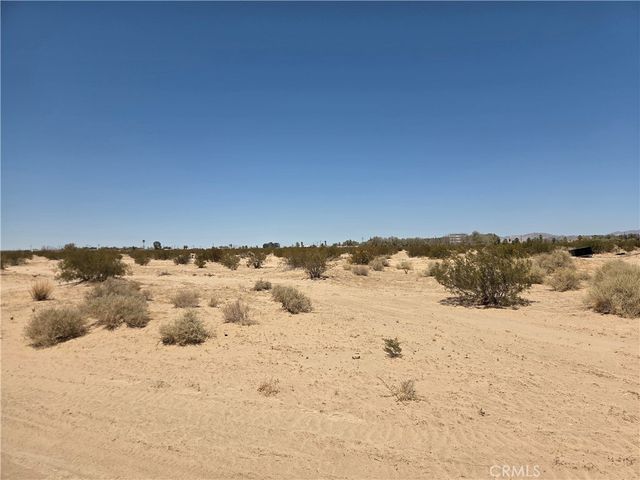 Amboy Road, 29 Palms