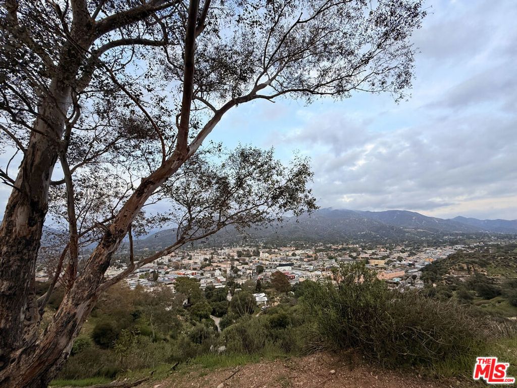 9735 N Estaban Way, Tujunga