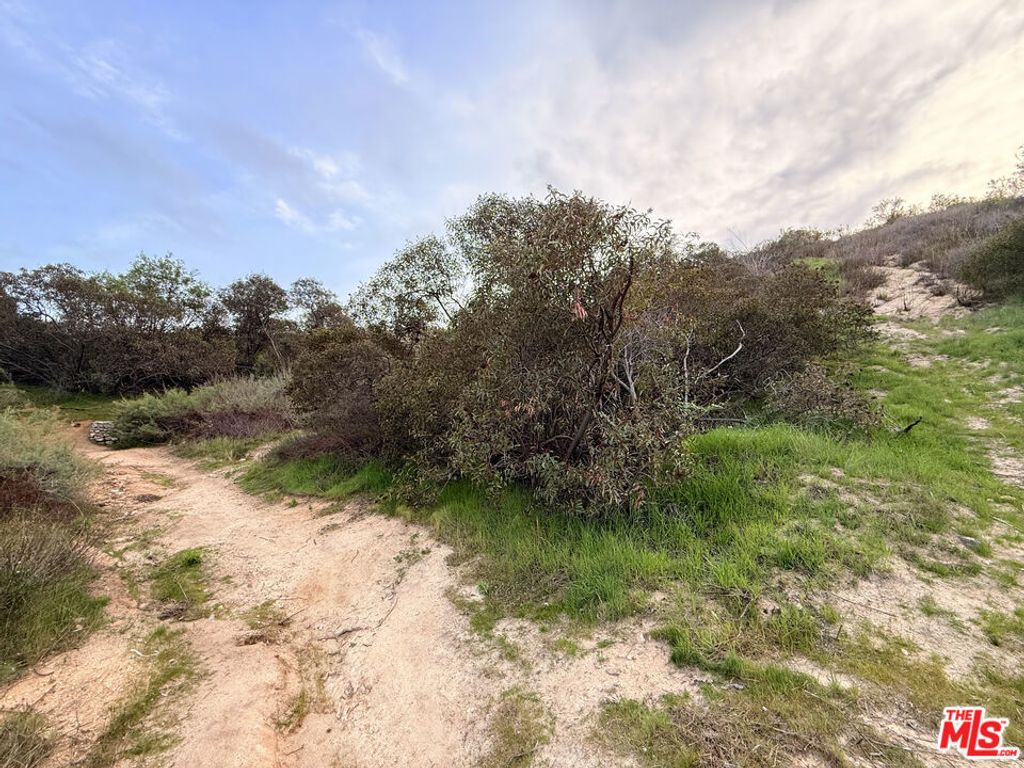 9745 N Estaban Way, Tujunga