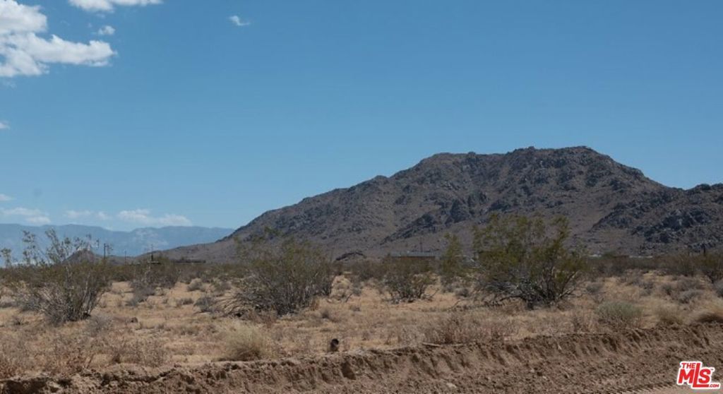 1 Desert Flower, Adelanto