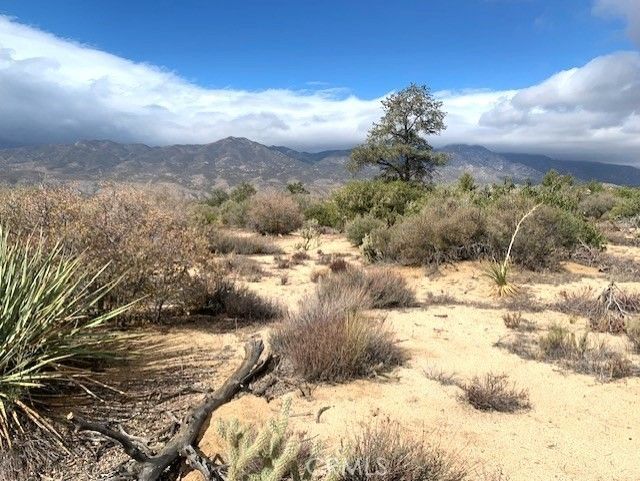368 Palm Canyon Drive, Mountain Center