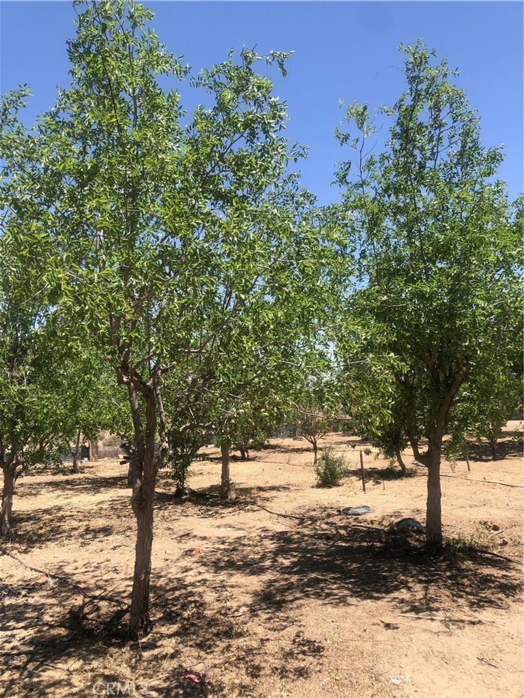 32726 Agate Road, Lucerne Valley