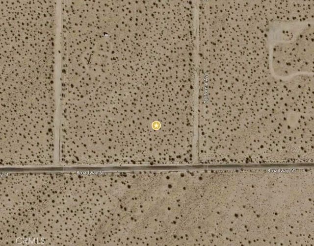 California, Joshua Tree