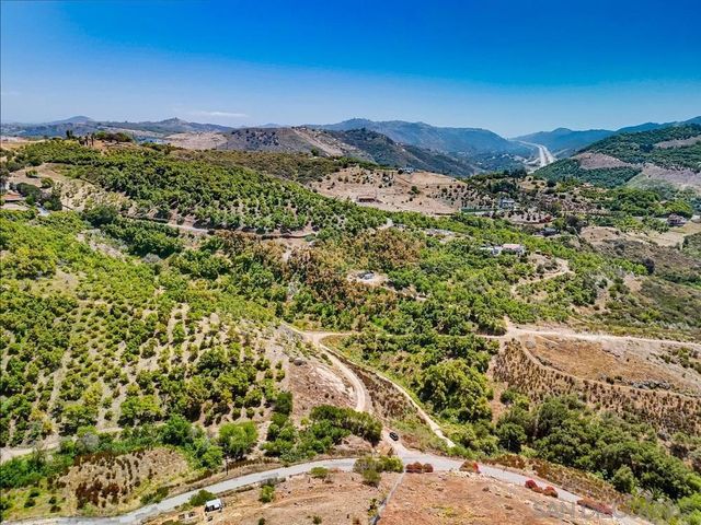 31675 Rancho Amigos Rd, Bonsall