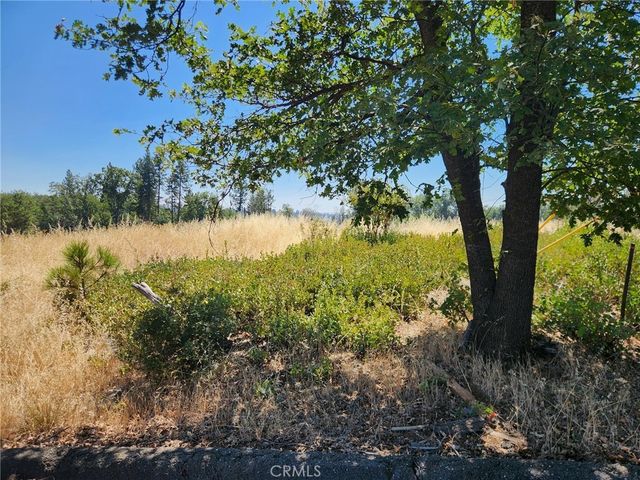 13602 Andover, Magalia