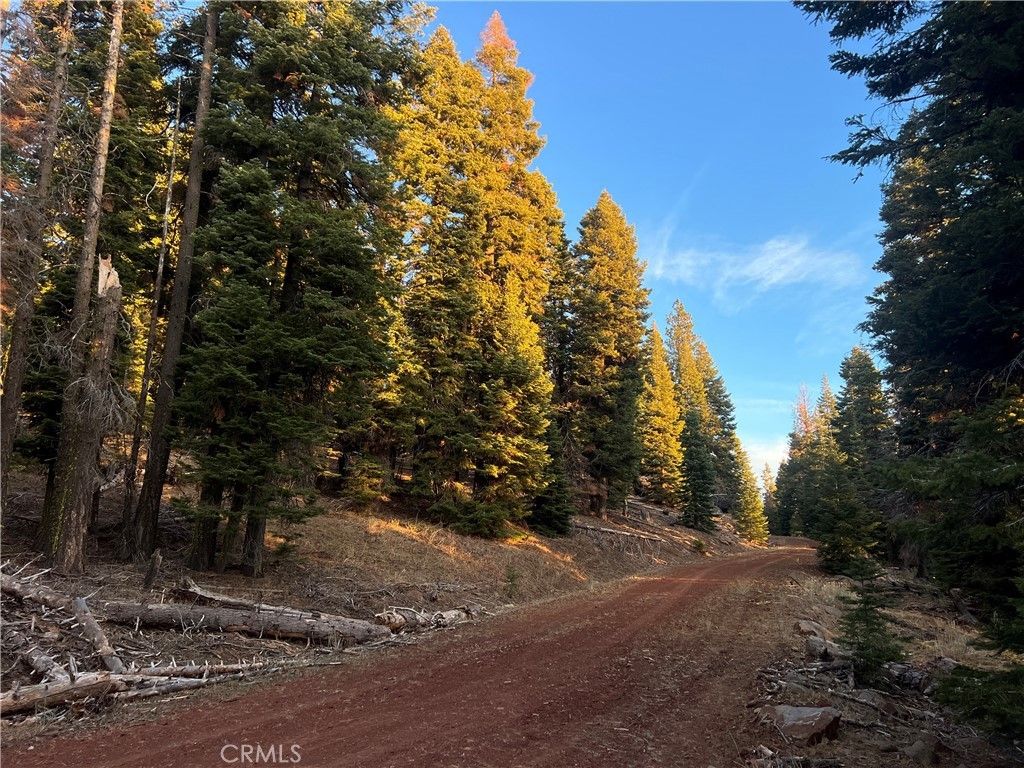 S. Ozite Road, Alturas