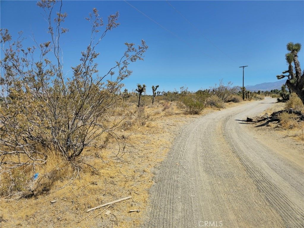 Marco Road, Phelan