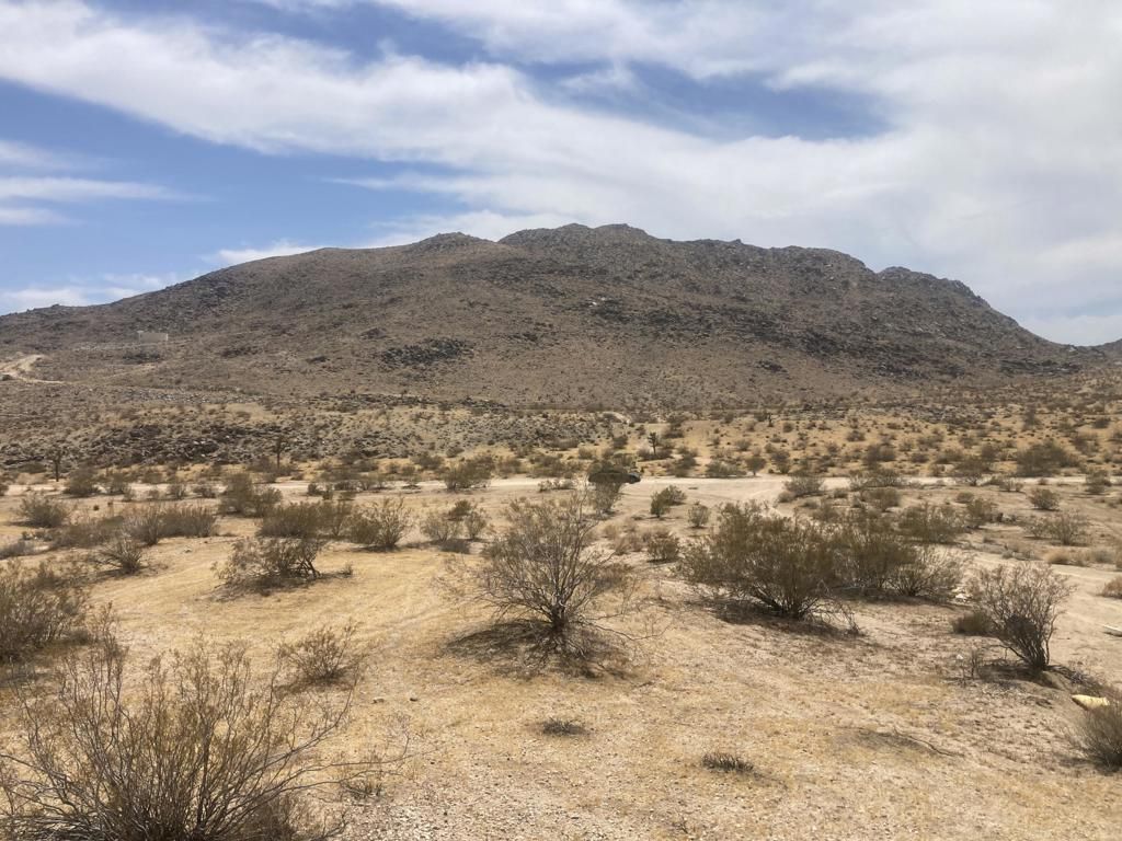 Sunnyhill Rd, Joshua Tree