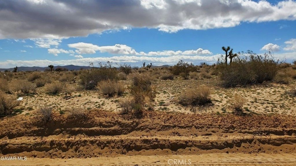 Reed Ave, Mojave