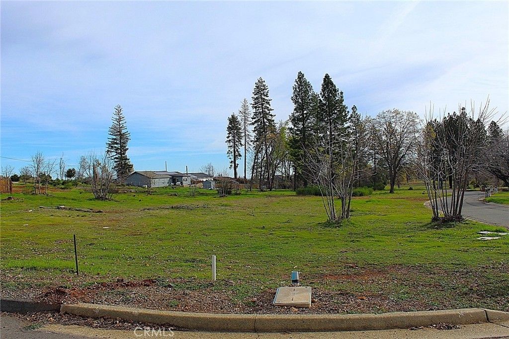 Summerwood, Paradise
