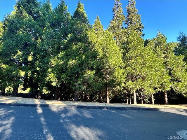 28980 White Dove Lane, Lake Arrowhead