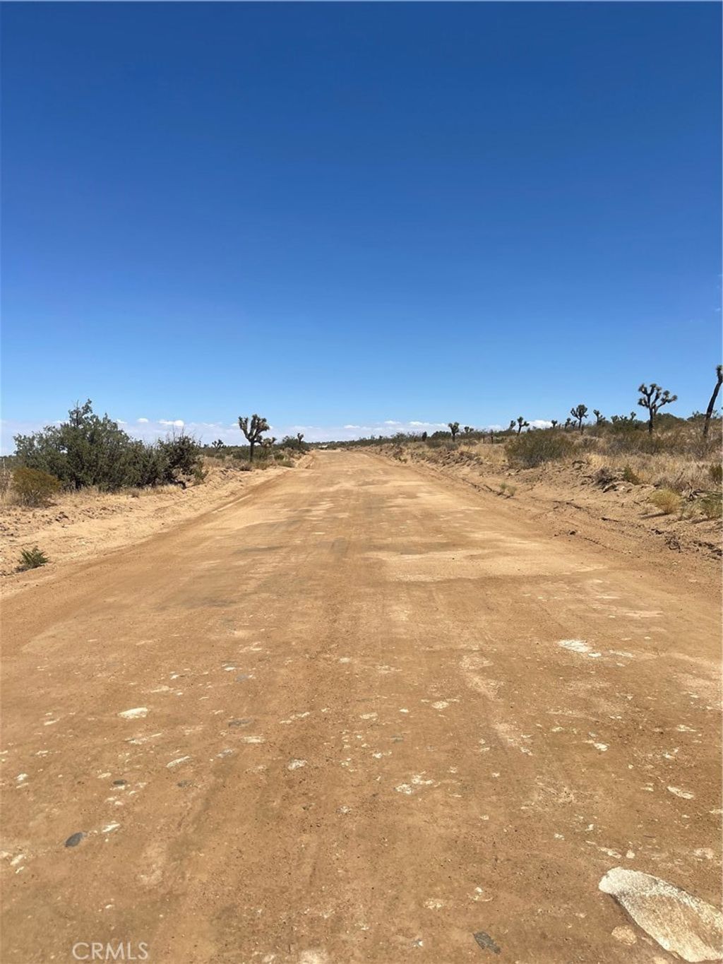 Vac Fort Tejon Drt Vic, Llano