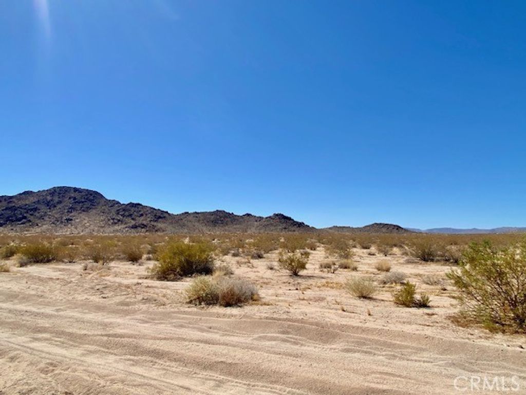 Arco, Joshua Tree