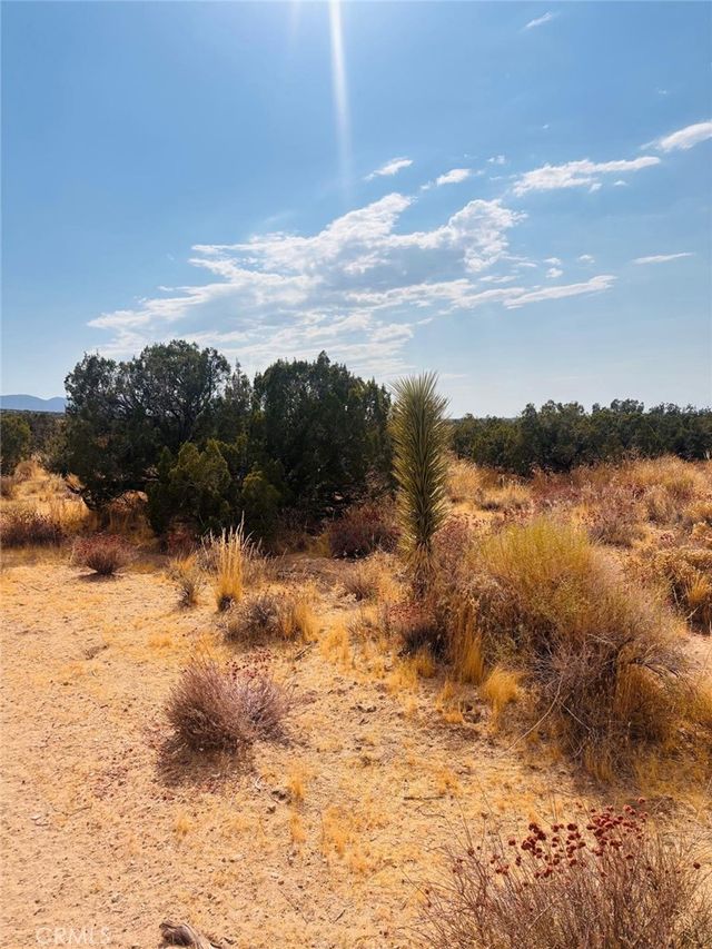Vac/vic, Llano