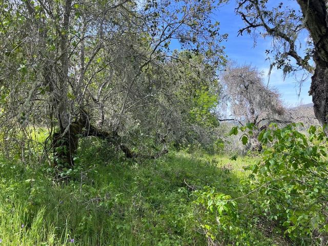 33446 E Carmel Valley Road, Carmel Valley