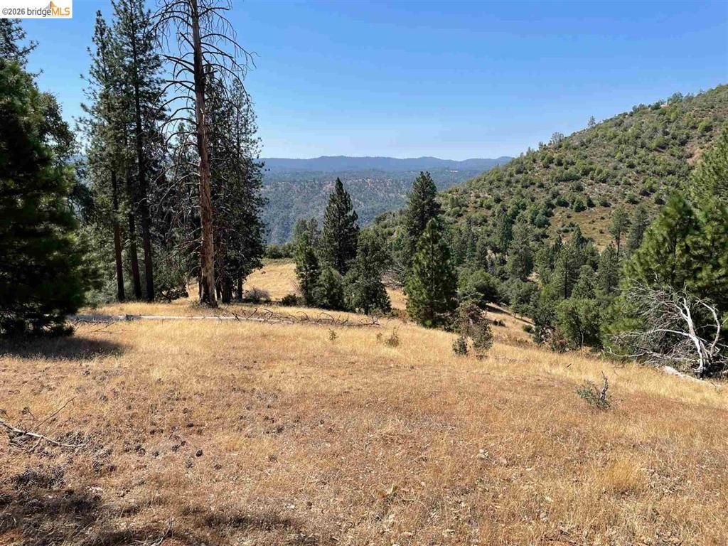 00000 Forrest Rd 1n19, Tuolumne
