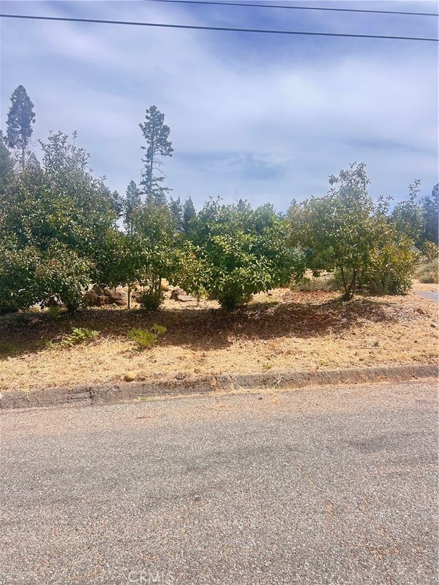 13837 Ferguson, Magalia