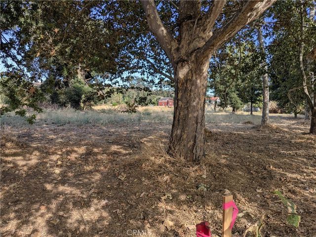 038 Sycamore Rd, Atascadero