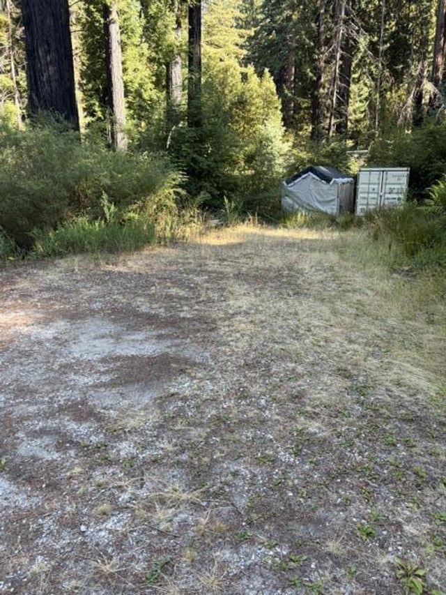 12135 Alba Road, Ben Lomond