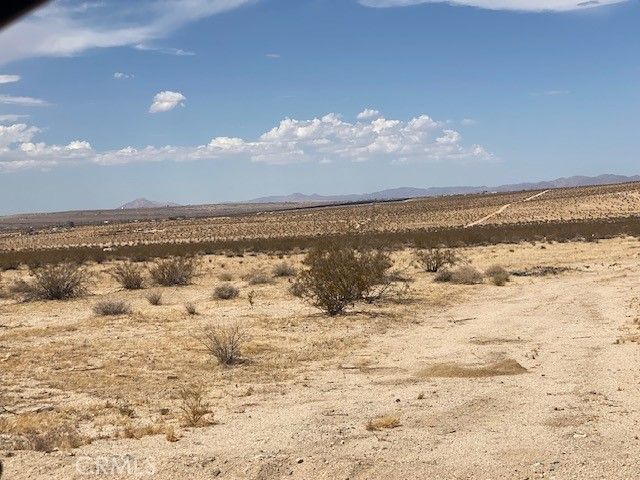 None, 29 Palms