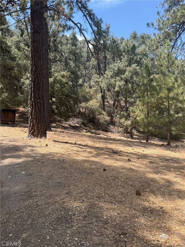2019 Freeman, Pine Mountain Club